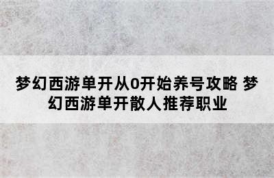 梦幻西游单开从0开始养号攻略 梦幻西游单开散人推荐职业